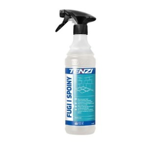 TENZI FUGI I SPOINY Profesjonalny Środek do Czyszczenia Fug 600 ml